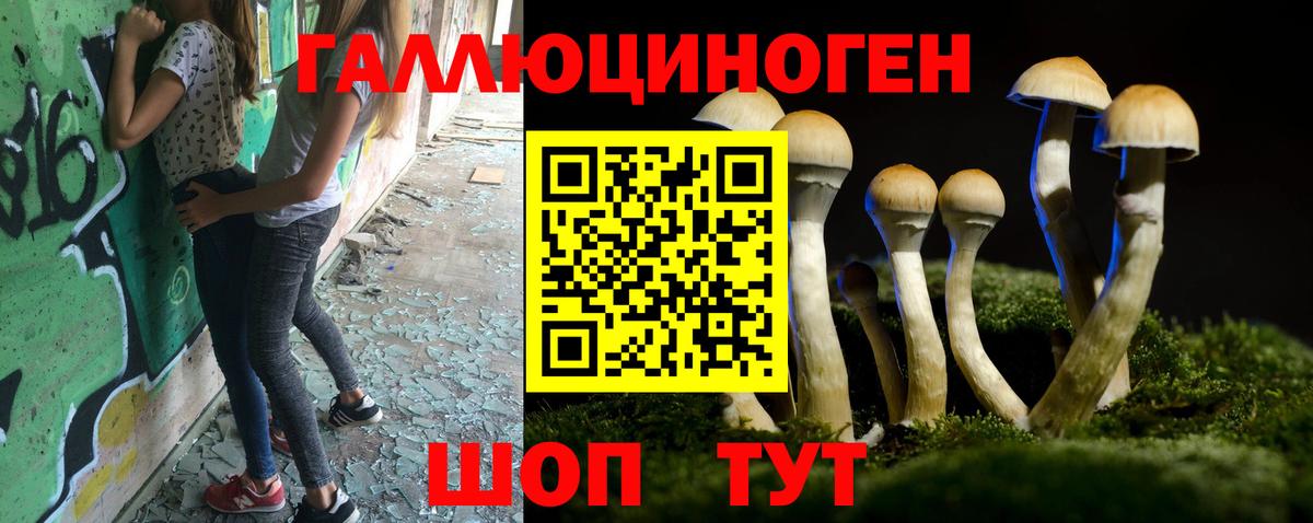 Алушта  Галлюциногенные грибы мицелий  Псилоцибиновые грибы Psilocybine cubensis  Вход с VPN 